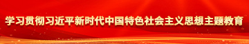 日韩操我学习贯彻习近平新时代中国特色社会主义思想主题教育